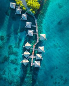 帕皮提大溪地洲际spa度假酒店的海洋中一个度假岛的空中景致