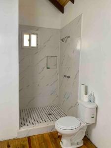 罗阿坦Lila loft- Private one floor bedroom &free parking的白色的浴室设有卫生间和淋浴。