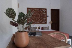平谷Clics Coliving & Coworking的木桌上的花瓶,上面有植物,还有笔记本电脑