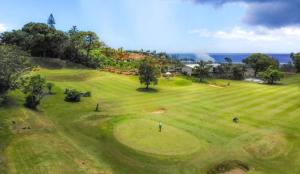 拉罗汤加Eve and Sandys Holiday Home的高尔夫球场上高尔夫球手的顶部景色