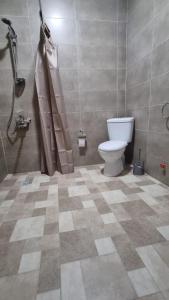 茨卡尔图博Hotel Giorgi的一间带卫生间和淋浴的浴室