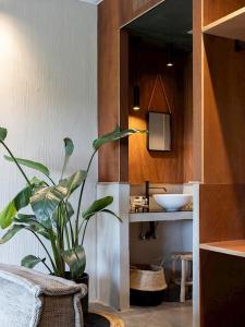 布鲁日BBruT的一间带水槽和盆栽植物的浴室