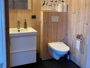 法尔松The Longhouse at Lista的一间带水槽和卫生间的浴室