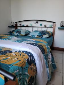 圣玛丽Escale 86的一间卧室配有一张带毯子和枕头的床。