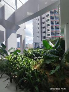 吉隆坡Menjalara Msuite的一座大建筑中的植物花园