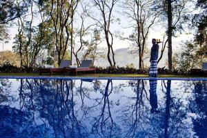 哈顿Ceylon Tea Trails的一个人站在游泳池旁边