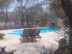 OpuwoKaoko Mopane Lodge & Campsite的游泳池旁的两把椅子