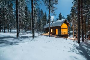 基蒂莱Black Work Levi Aihki的雪中树林里的小木屋