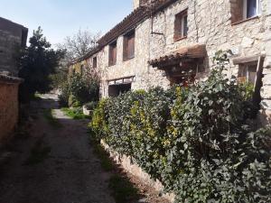 RojalsCal Tous, La Socarrimada的一座古老的石头建筑,旁边是植物