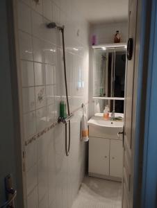 圣马洛chambre d'hote dans maison individuelle的带淋浴和盥洗盆的浴室