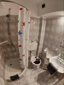 塔尔诺夫斯凯古雷Hotel Olimpijski的带淋浴、卫生间和盥洗盆的浴室