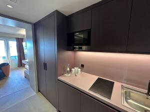 汉堡翰堡城中区公寓式酒店的厨房配有黑色橱柜和台面