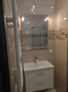 奥莱茨科Apartament Parkowa的一间带水槽和镜子的浴室