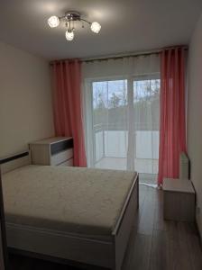奥莱茨科Apartament Parkowa的一间卧室设有一张床和一个大窗户