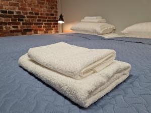 纳尔瓦Narva Port Hostel的床上有两条白色毛巾