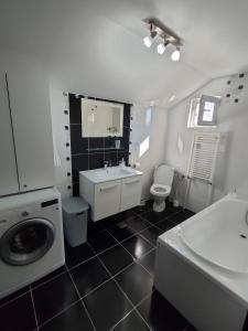 普洛耶什蒂"Apartament"-Casa Genius的一间带水槽和洗衣机的浴室