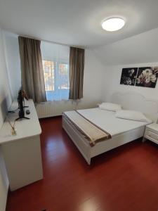普洛耶什蒂"Apartament"-Casa Genius的一间卧室配有一张床、一张书桌和一个窗户。