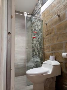阿基塔尼亚Cabañas el Olimpo的一间带卫生间和玻璃淋浴间的浴室