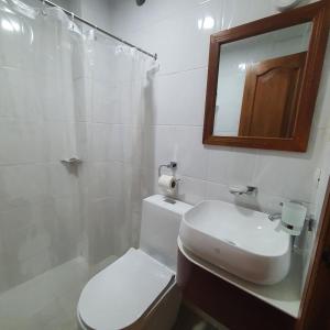 瓜亚基尔Hotel Bonanza的一间带卫生间、水槽和镜子的浴室