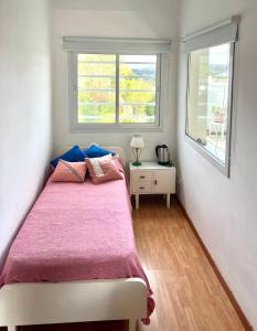 坦迪尔Habitación Caléndulas- Hospedaje Lo De Juan Y Mabel的一间卧室配有一张带粉色毯子的床和两个窗户