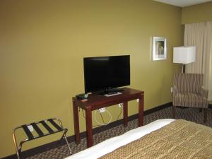 鲁珀特王子港海港旅馆的酒店客房,配有床和桌子上的电视