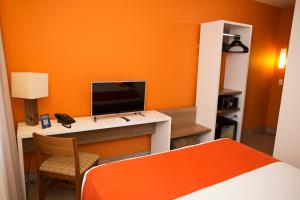 南卡希亚斯Partner Caxias do Sul的一间卧室配有一张床和一张书桌及电视