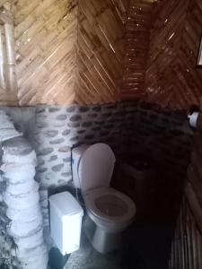 比利亚维哈Mirador Valle de la Tatacoa的石墙内带卫生间的浴室