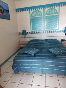 莱特鲁瓦西莱Res MARINA-CARAYOU 1的一间卧室配有一张带蓝色毯子的床和窗户。
