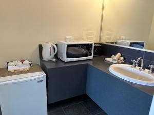 莱克斯恩特伦斯班卓帕特森汽车旅馆的一间带微波炉和水槽的浴室