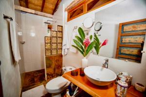 蒙波斯Casa Portal de la Bodega的一间带水槽、卫生间和淋浴的浴室