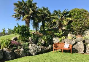 凯里凯里Sunset Point Kerikeri的棕榈树和岩石花园的长凳