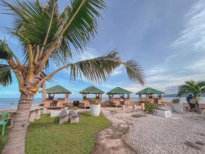 达拉盖地Ocean Bay Beach Resort的棕榈树,毗邻带长椅和遮阳伞的海滩