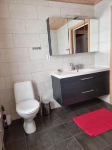 弗罗达尔Vrådal Golf Park的一间带卫生间、水槽和镜子的浴室
