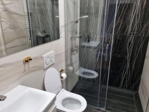 波兹南Apartament w kamienicy的带淋浴、卫生间和盥洗盆的浴室