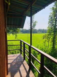 锡吉里亚Sigiriya Paddy Field Hut的一个带栅栏的门廊和一片草地