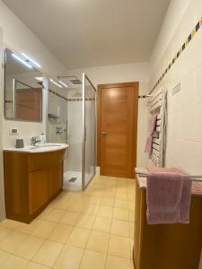 La ValleAl Tiglio Rooms的一间带水槽和淋浴的浴室