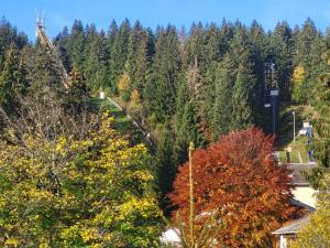 申瓦尔德Ferienwohnungen Schönwald的树木林的秋天景色