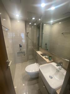 孟买Maxxvalue Apartment Hiranandani Powai - RH5的一间带水槽、卫生间和镜子的浴室