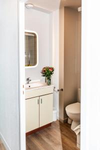 布雷斯特法国布雷斯特泰尔公寓式酒店的一间带水槽和卫生间的浴室