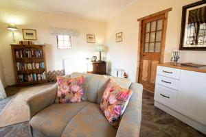 格拉夫-里内特Wild Olive Cottage的客厅配有蓝色沙发和2个枕头