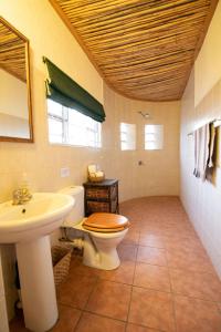 格拉夫-里内特Ironstone Cottage的一间带卫生间和水槽的浴室