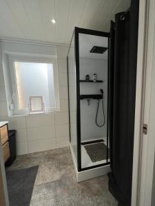 乐卡图Le Séjour qu'on M的一间带镜子和淋浴的浴室