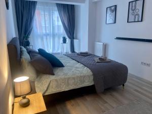 布拉索夫Divany Apartament的一间卧室配有一张带蓝色枕头的床和一扇窗户。