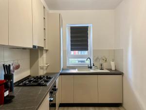 布拉索夫Divany Apartament的厨房配有水槽、炉灶和窗户。