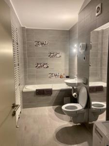 布拉索夫Divany Apartament的浴室配有卫生间、盥洗盆和浴缸。