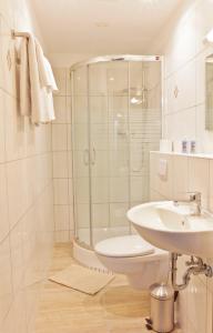 莱茵河畔威尔Hotel Ganita Weil am Rhein的带淋浴、卫生间和盥洗盆的浴室