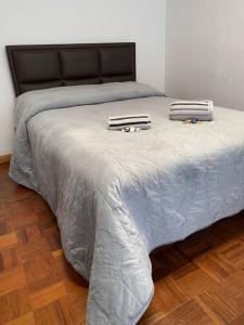 拉巴斯Apartamento de lujo con jardines paisajísticos的一张大床,上面有两个枕头