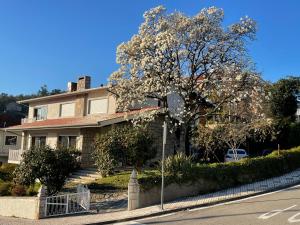 沃加河畔塞维尔Santiago Family House的前面有一棵树的大房子