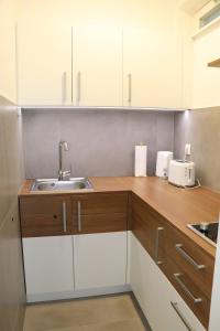 普图伊Studio apartma Terme Ptuj的厨房配有白色橱柜和水槽