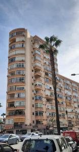 多列毛利诺斯Estudio Torremolinos Centro by AVA Apartments Wifi y Smart TV的一座大建筑,前面有棕榈树